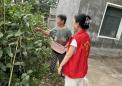 沈豆豆与她的“手写宝典”